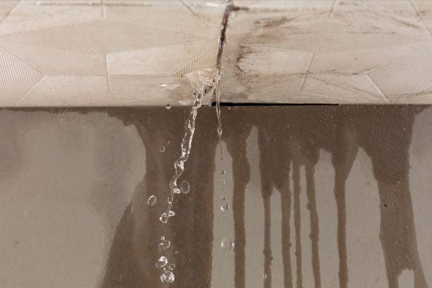 Professional Water Damage Inspection technician working in Friendship, TN